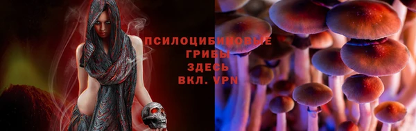 соль курить ск Алзамай