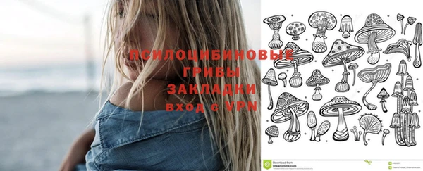mdpv Алексин