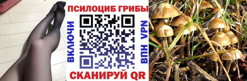 Галлюциногенные грибы прущие грибы  Купить закладки  Козельск 